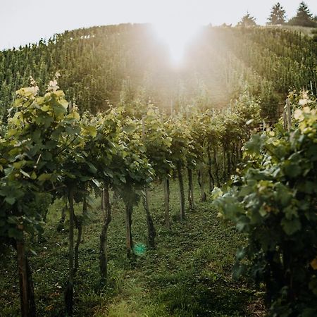 Weingut Meurer Apartamento Reil Exterior foto