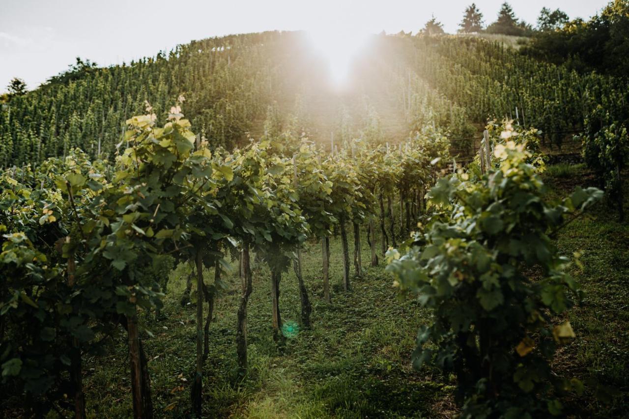 Weingut Meurer Apartamento Reil Exterior foto